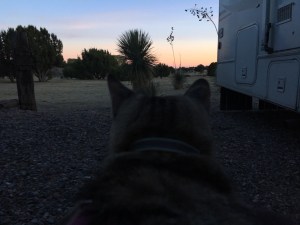 Silver City, NM | Ross and Jamie Adventure