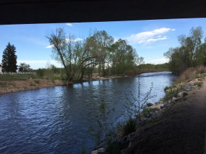 Fort Collins, CO | Ross and Jamie Adventure