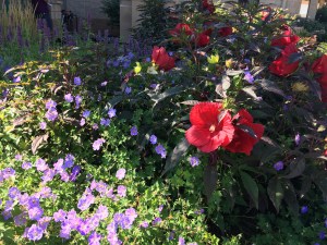 Gardens on Spring Creek, Fort Collins, CO | Ross and Jamie Adventure