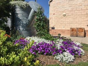 Gardens on Spring Creek, Fort Collins, CO | Ross and Jamie Adventure