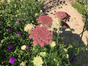 Gardens on Spring Creek, Fort Collins, CO | Ross and Jamie Adventure