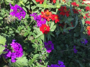 Gardens on Spring Creek, Fort Collins, CO | Ross and Jamie Adventure