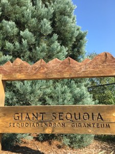 Gardens on Spring Creek, Fort Collins, CO | Ross and Jamie Adventure