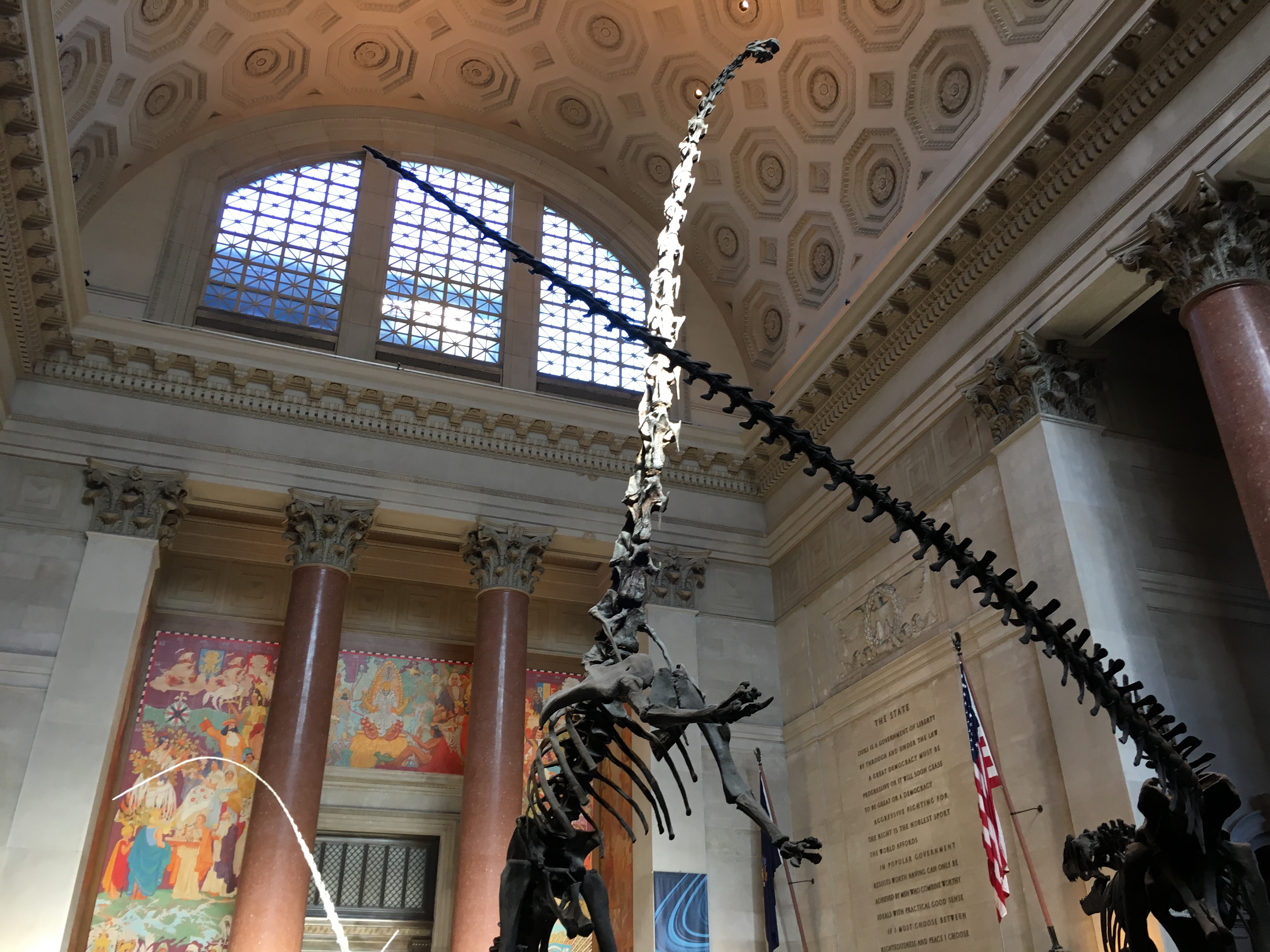Museum of Natural History, New York, NY | Ross and Jamie Adventure