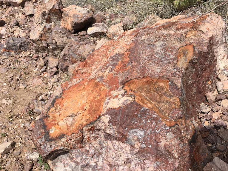 Rockhound State Park, Deming, NM | Ross and Jamie Adventure