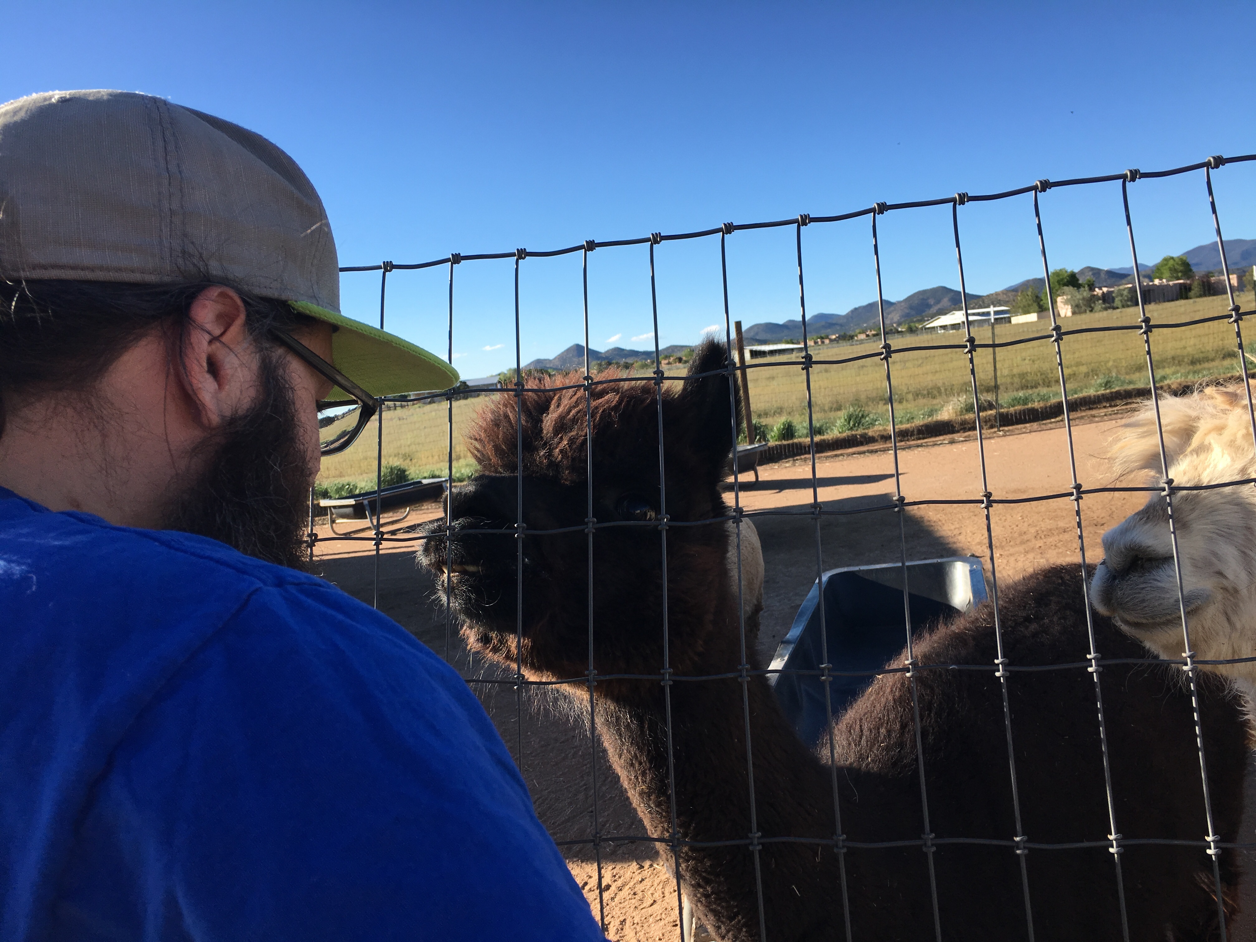 Harvest Hosts, New Mexico | Ross and Jamie Adventure