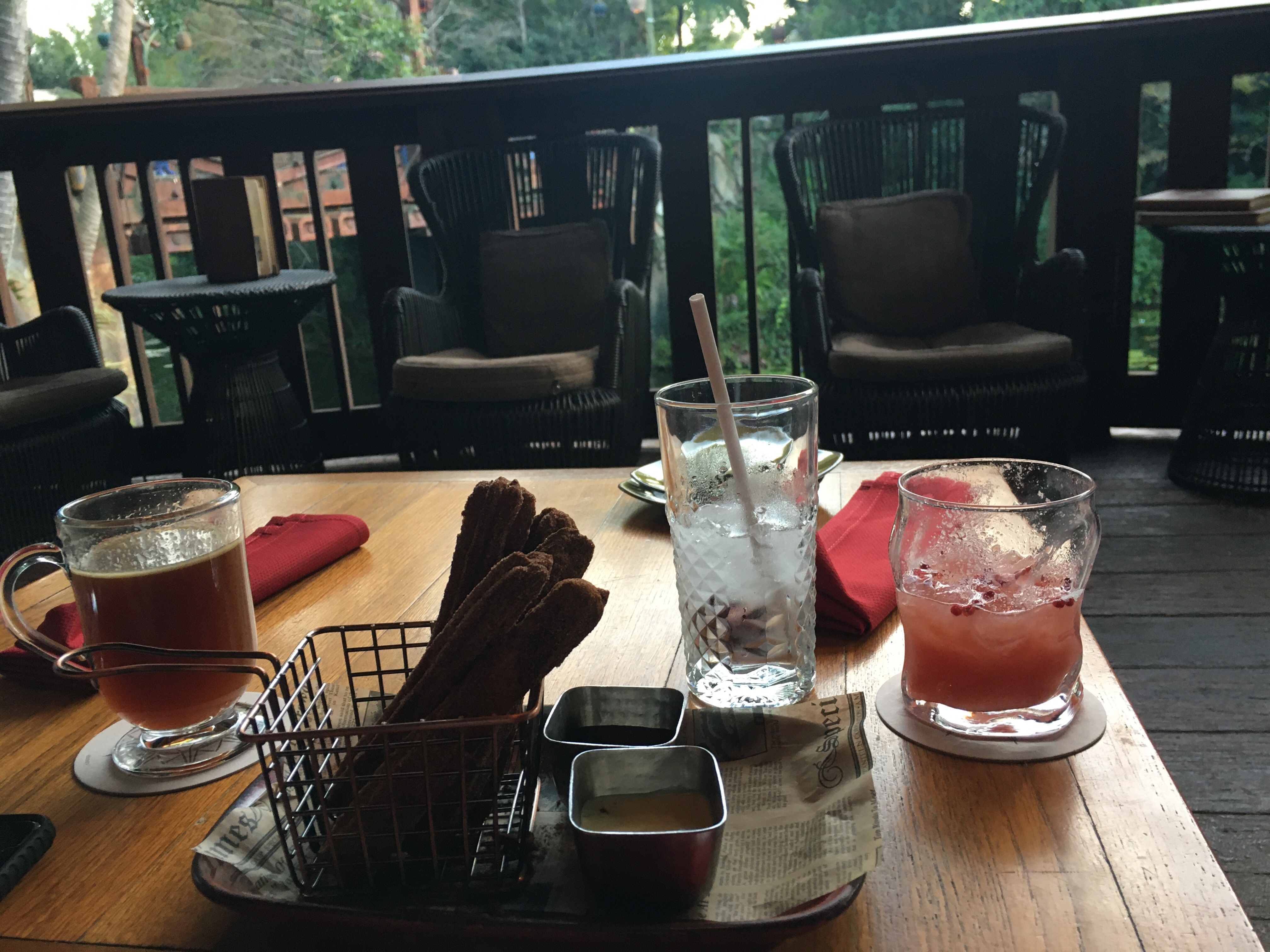 Disney World, Kissimmee, FL | Ross and Jamie Adventure