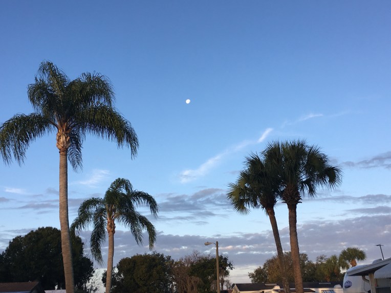 Davenport, FL | Ross and Jamie Adventure