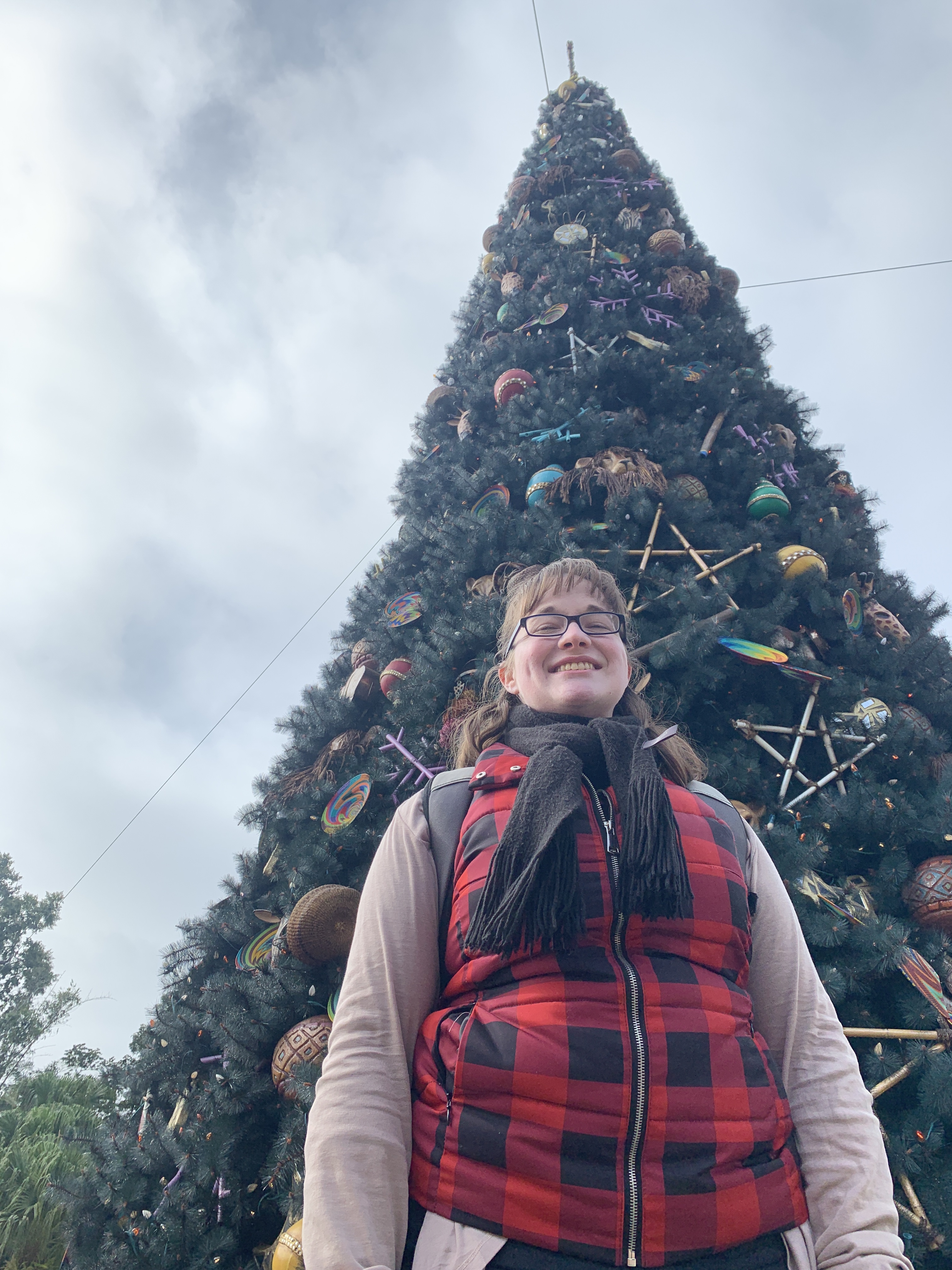 Disney World, Kissimmee, FL | Ross and Jamie Adventure