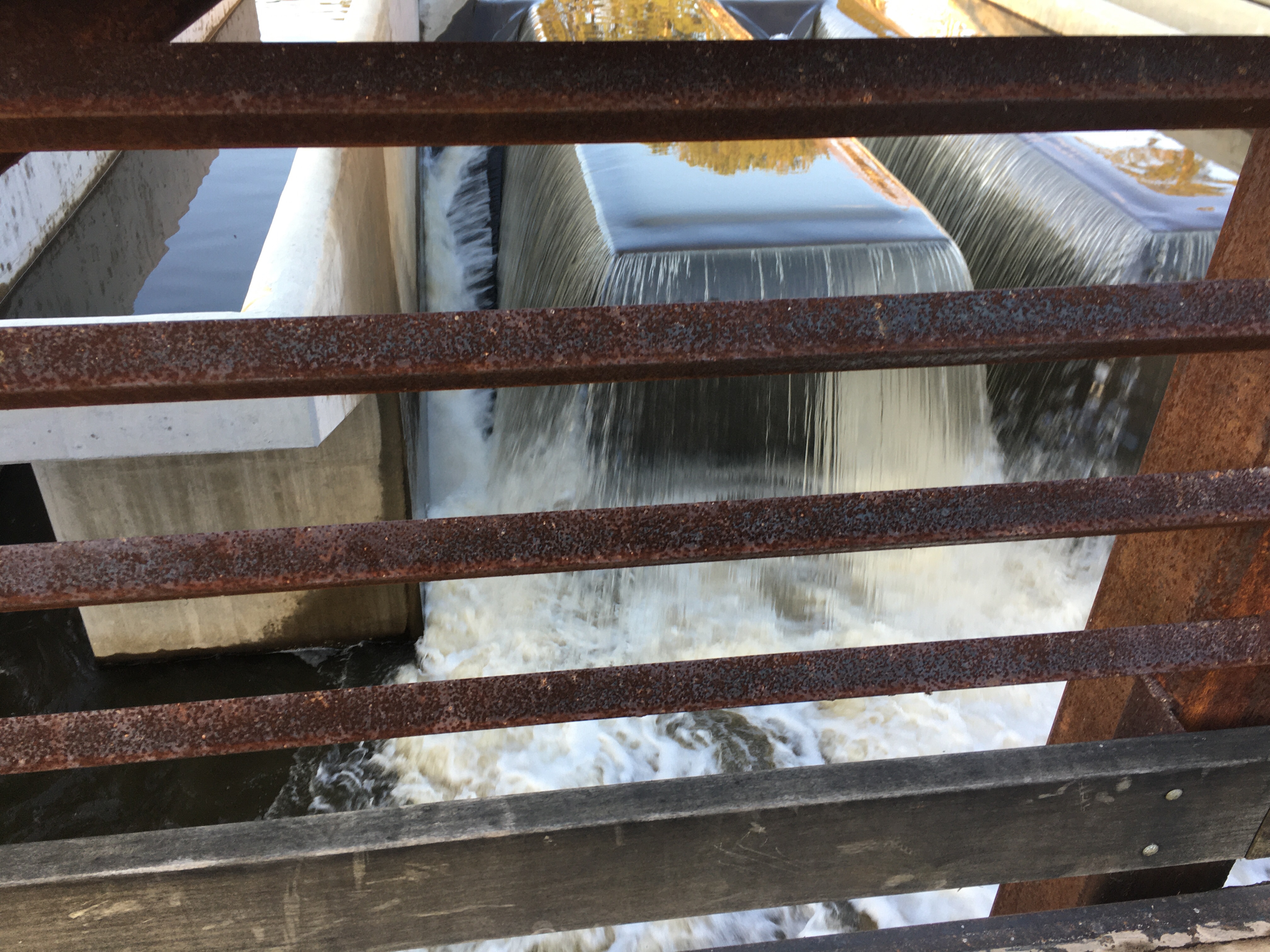 Atlanta, GA | Ross and Jamie Adventure